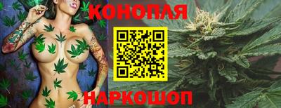 ешки Шелехов