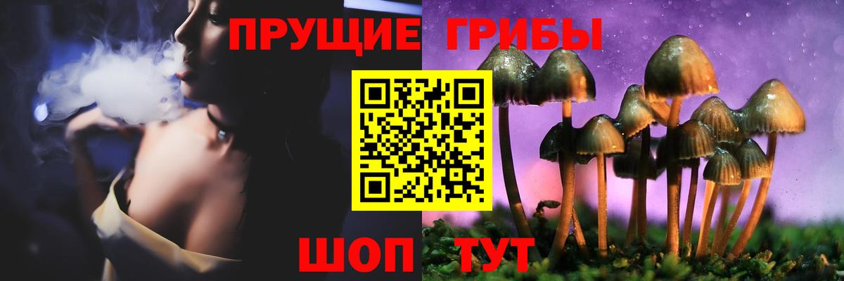 Псилоцибиновые грибы GOLDEN TEACHER Лесосибирск